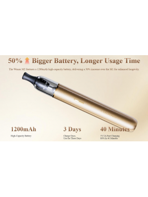 Geekvape Wenax M2 2ml Leather Edition Pod Kit